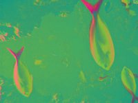 IMGP2860 edited (Medium)